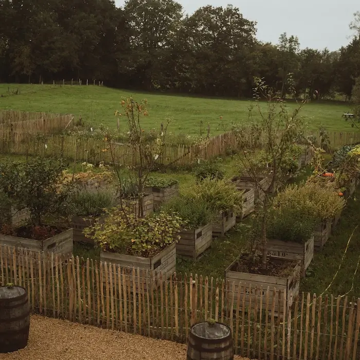 Eigener Garten vor dem Cafe, wo frisches Gemüse und Obst eingebaut werden.